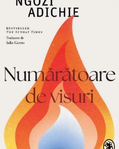 Numaratoare de visuri - Chimamanda Ngozi Adichie