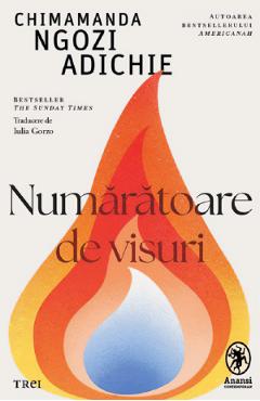 Numaratoare de visuri - Chimamanda Ngozi Adichie 1 Numaratoare de visuri - Chimamanda Ngozi Adichie